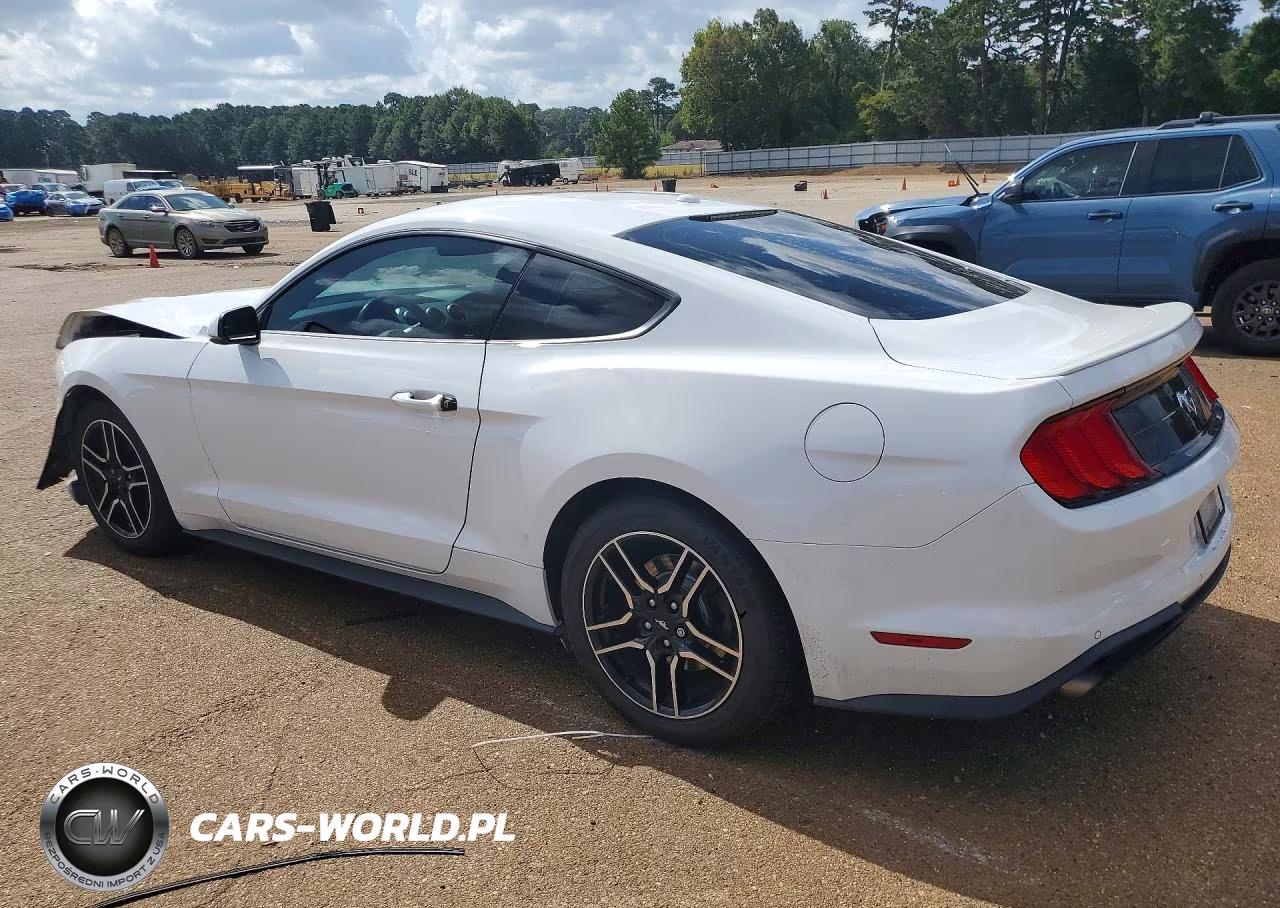 2019 Ford Mustang VIN:1FA6P8TH9K5133891 - 2