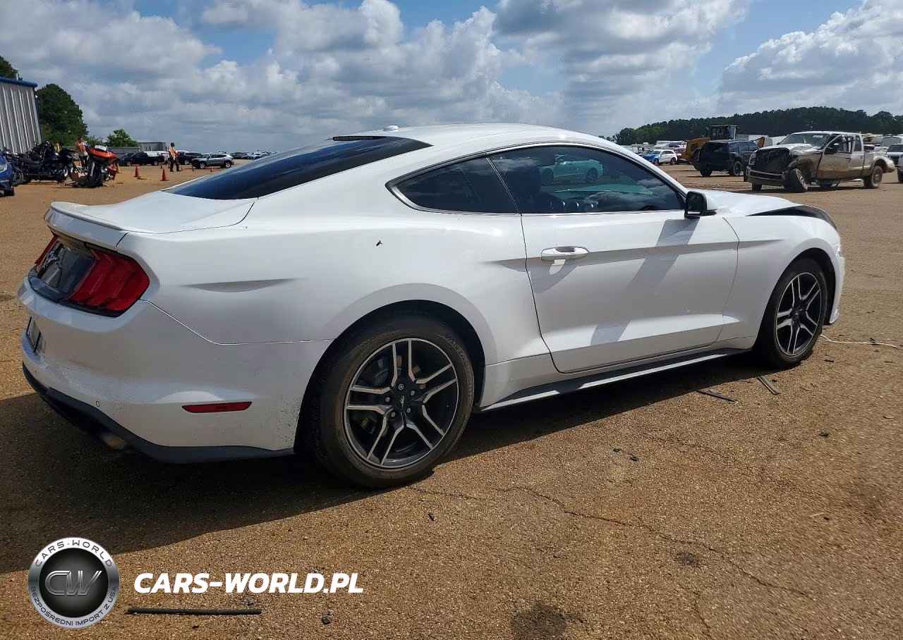 2019 Ford Mustang VIN:1FA6P8TH9K5133891 - 3
