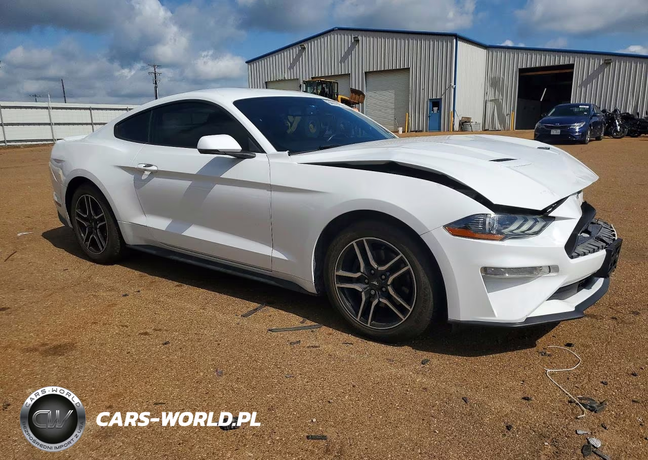 2019 Ford Mustang VIN:1FA6P8TH9K5133891 - 4