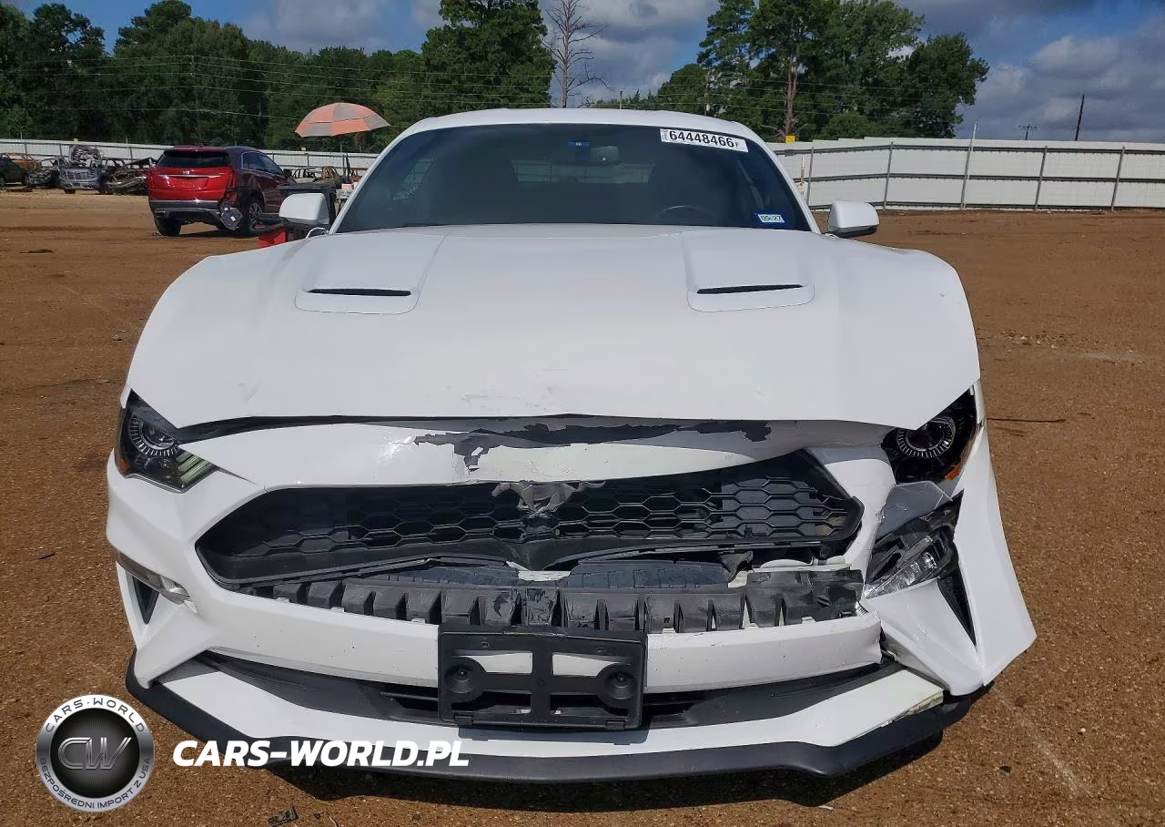 2019 Ford Mustang VIN:1FA6P8TH9K5133891 - 5