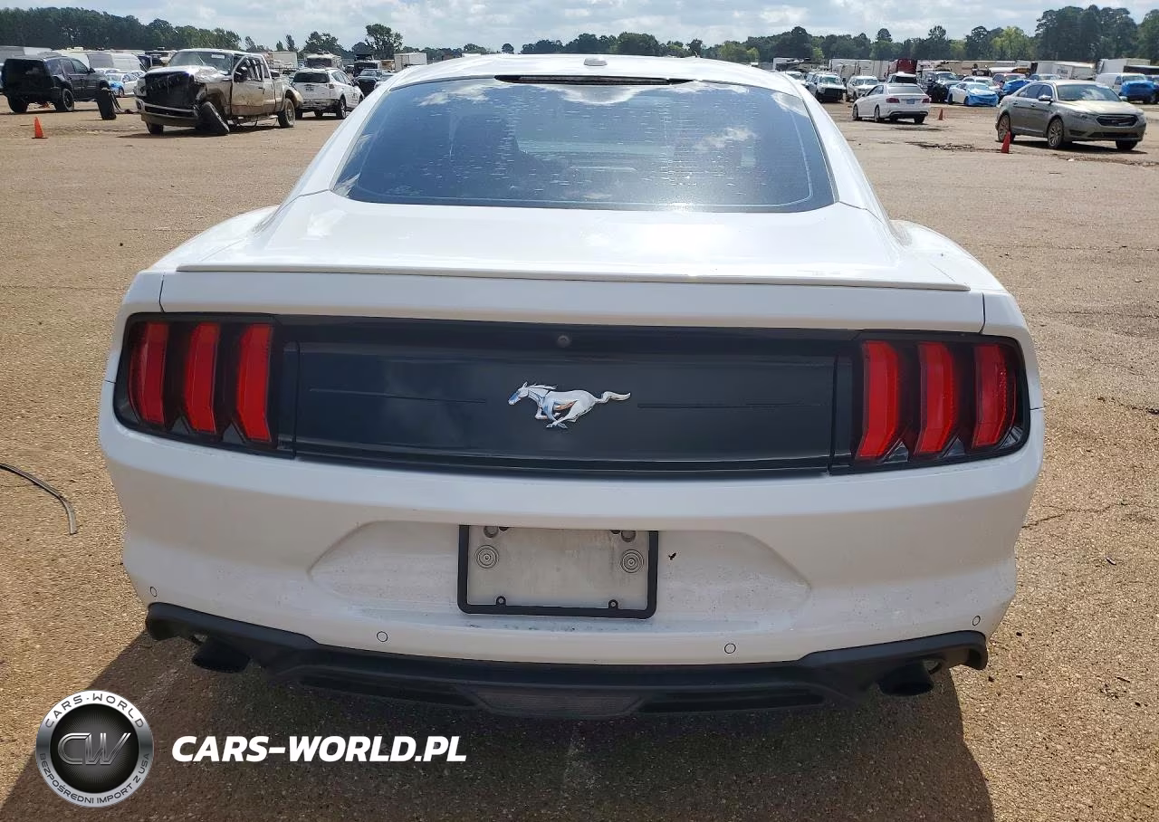 2019 Ford Mustang VIN:1FA6P8TH9K5133891 - 6