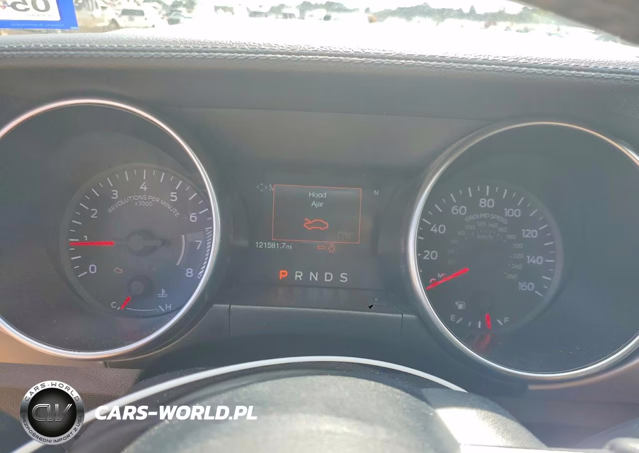 2019 Ford Mustang VIN:1FA6P8TH9K5133891 - 9