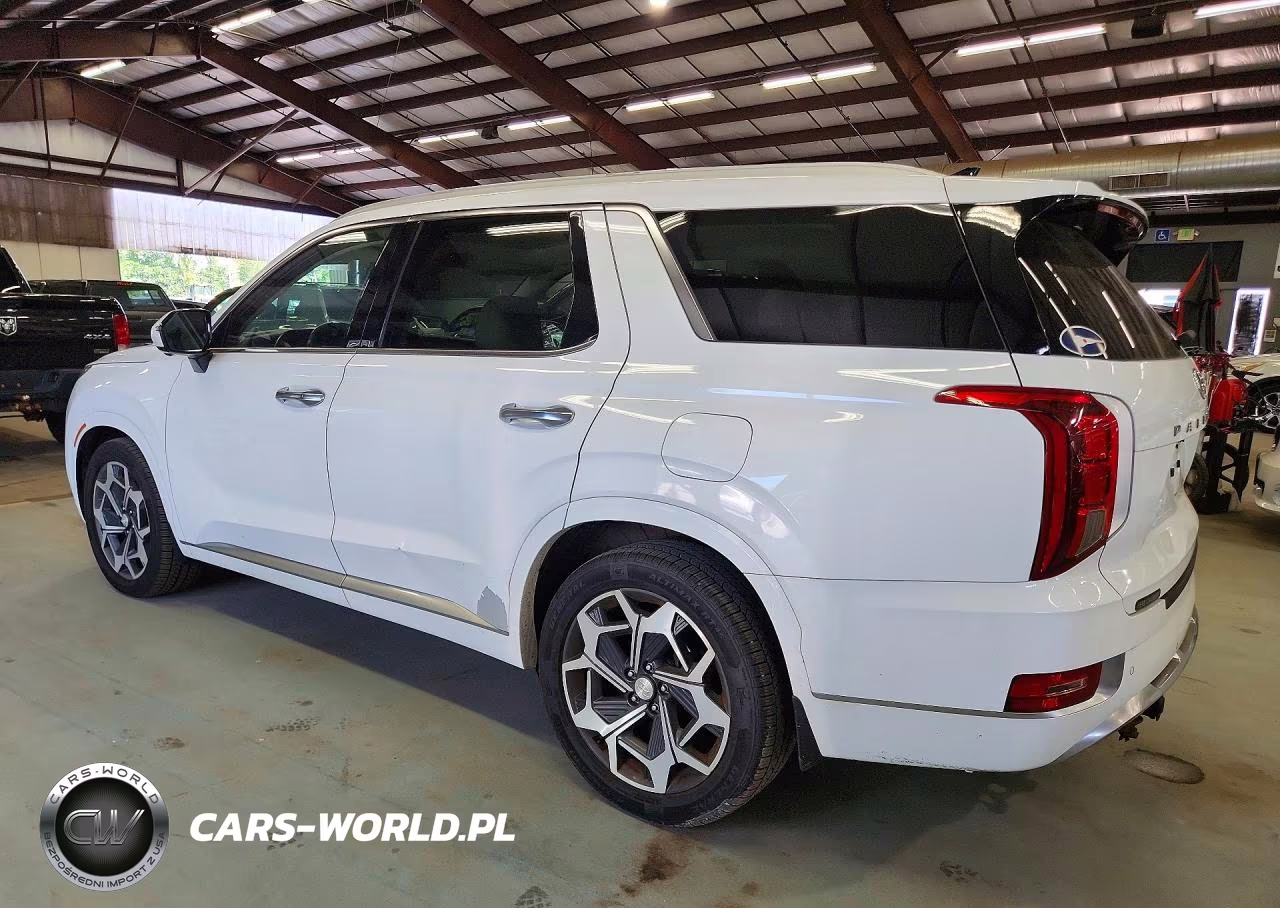 2021 Hyundai Palisade Calligraphy VIN:KM8R7DHE9MU266749 - 2