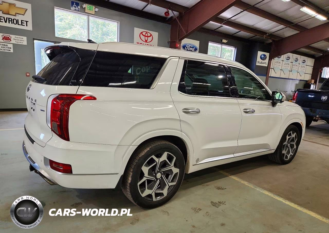 2021 Hyundai Palisade Calligraphy VIN:KM8R7DHE9MU266749 - 3