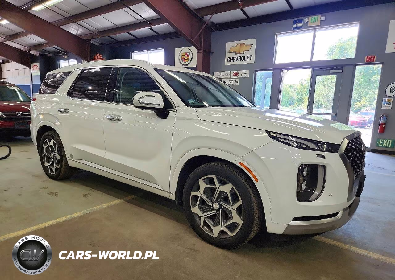 2021 Hyundai Palisade Calligraphy VIN:KM8R7DHE9MU266749 - 4