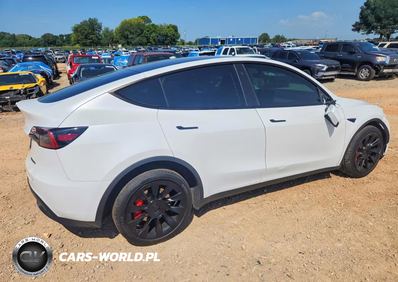 2023 Tesla Model Y VIN:7SAYGDEE9PA107750 - 3