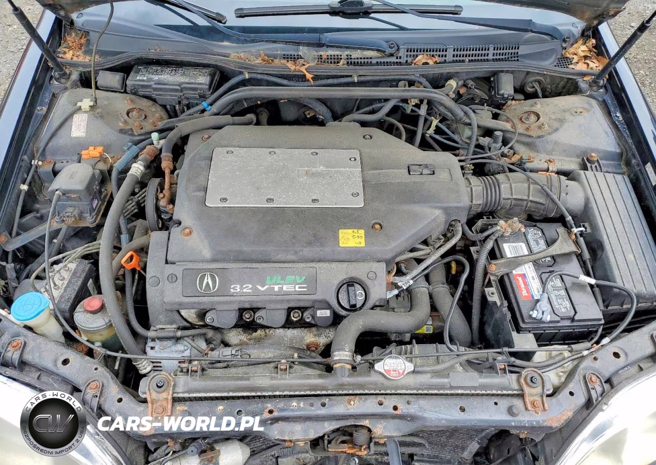 2000 Acura 3.2Tl VIN:19UUA5669YA009374 - 11