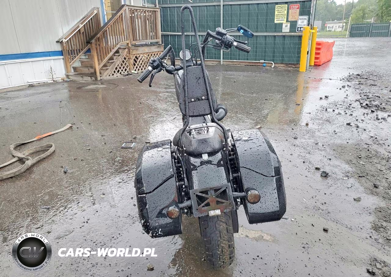 2009 Harley-Davidson Xl1200 N VIN:1HD1CZ3169K403453 - 4