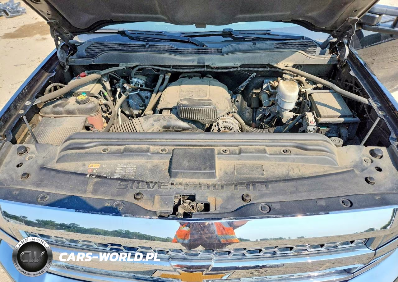 2019 Chevrolet Silverado K2500 Heavy Duty VIN:1GC1KREG0KF187782 - 11