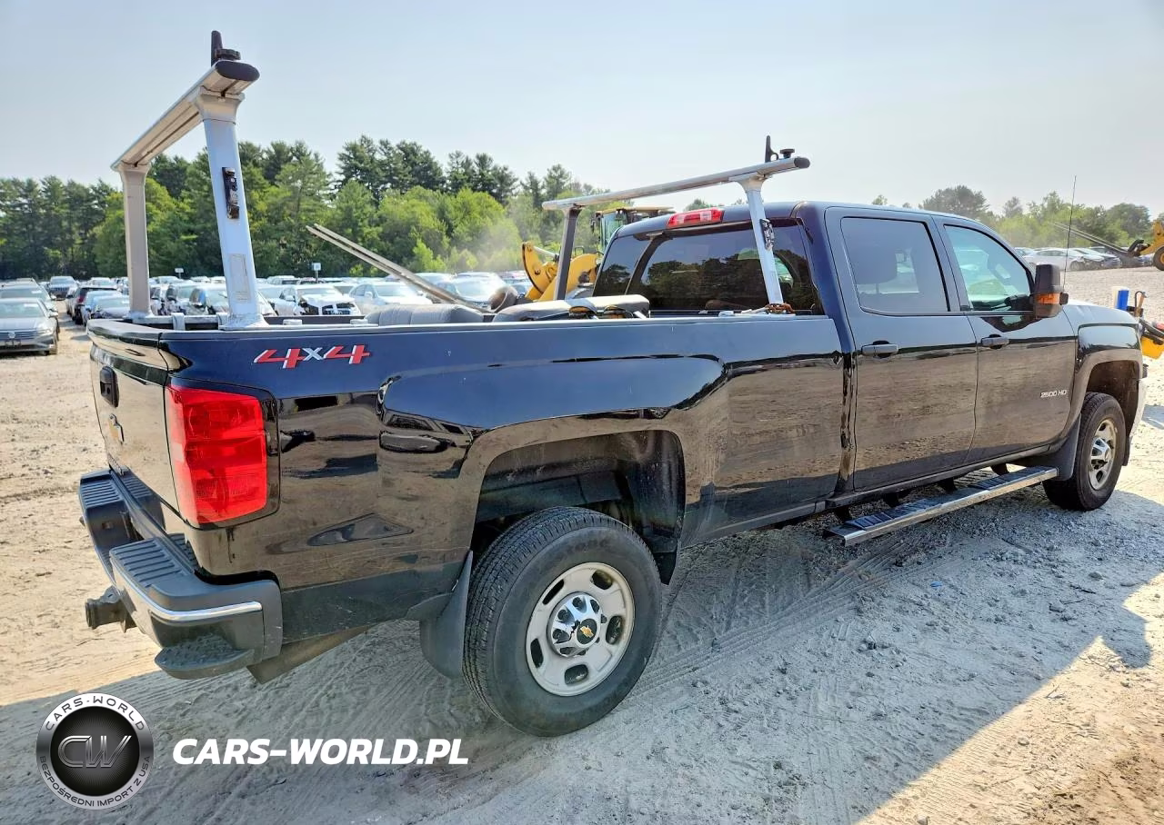2019 Chevrolet Silverado K2500 Heavy Duty VIN:1GC1KREG0KF187782 - 3