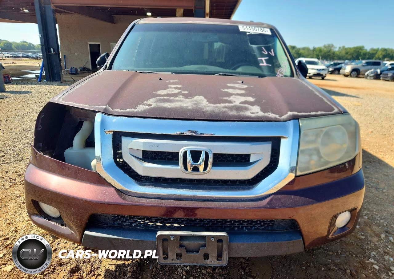 2010 Honda Pilot Ex-L VIN:5FNYF3H66AB014337 - 5