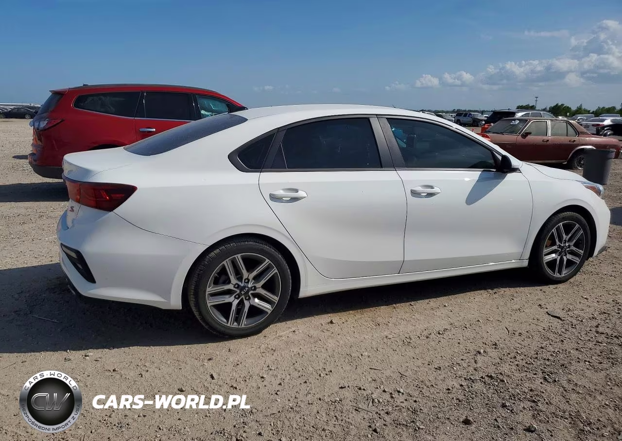 2019 Kia Forte S VIN:3KPF34AD9KE041490 - 3