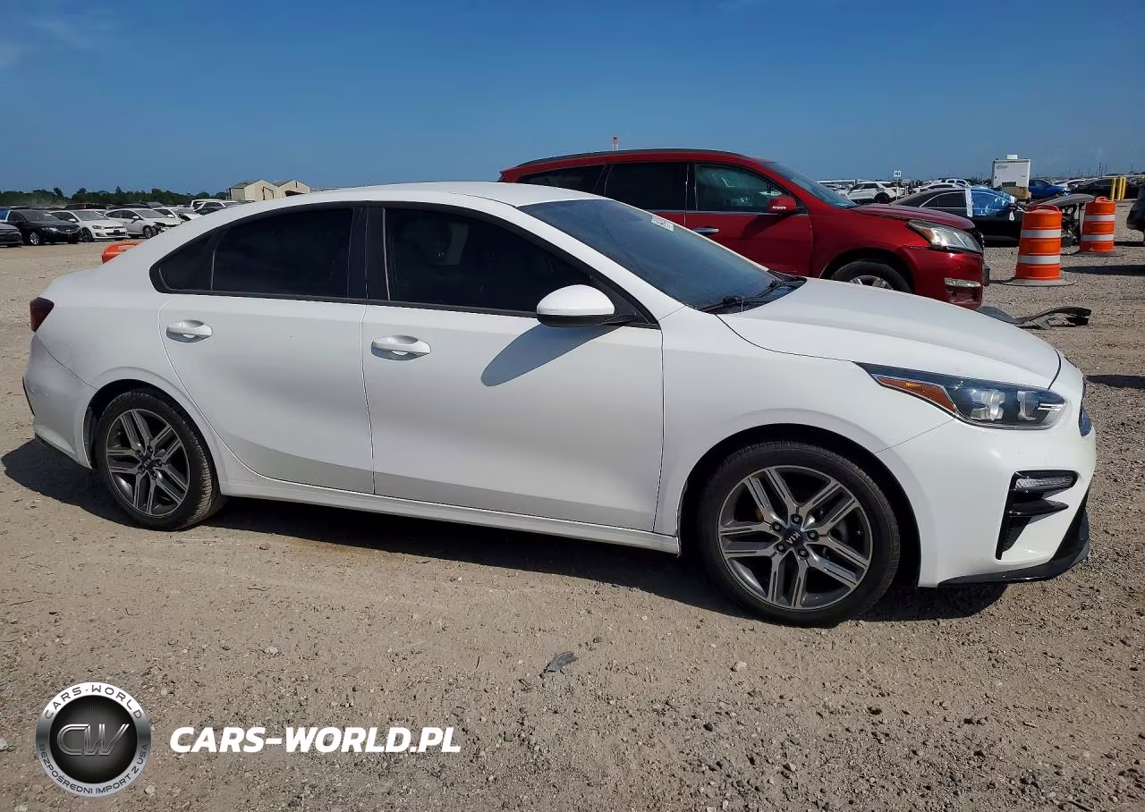 2019 Kia Forte S VIN:3KPF34AD9KE041490 - 4