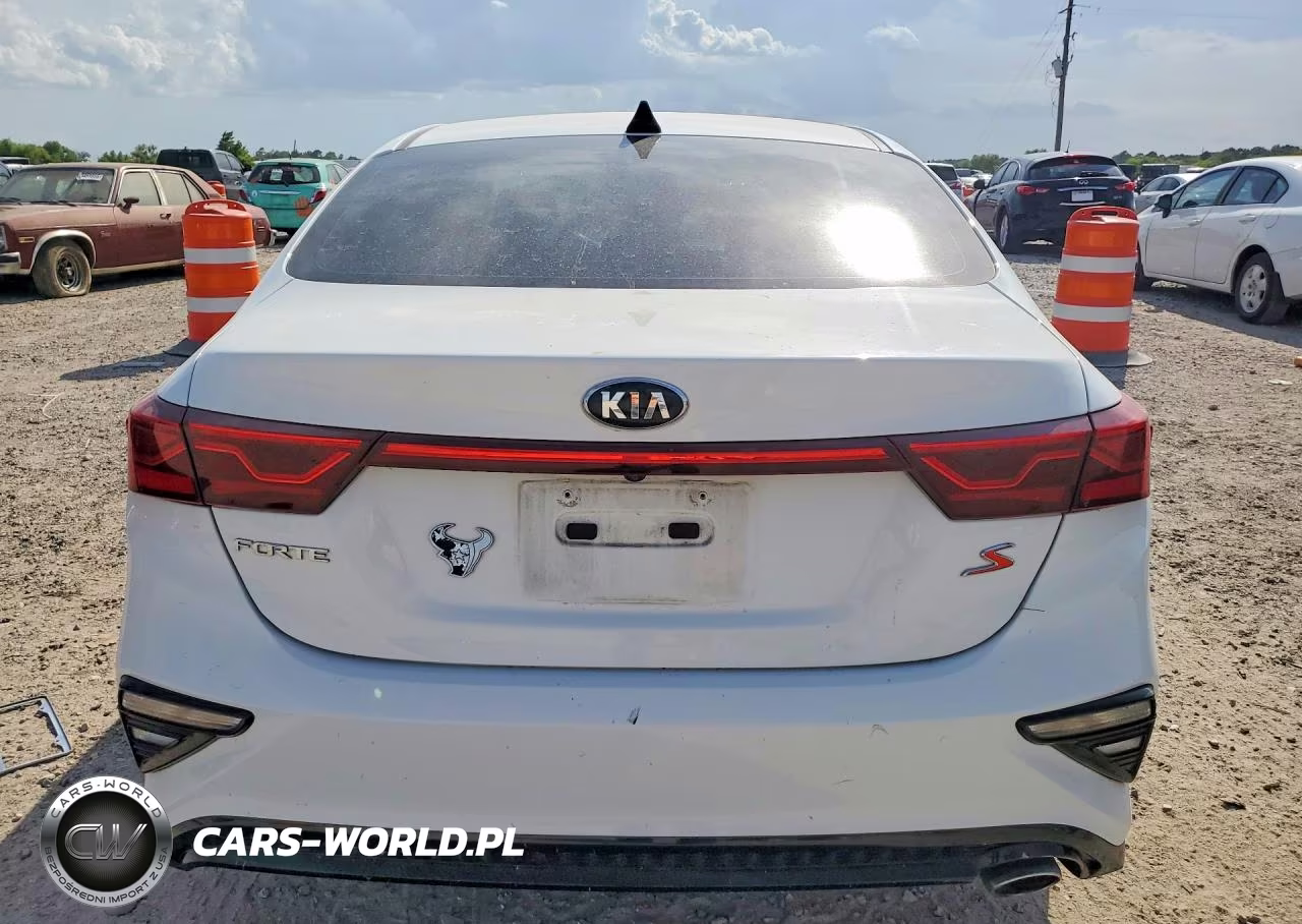 2019 Kia Forte S VIN:3KPF34AD9KE041490 - 6