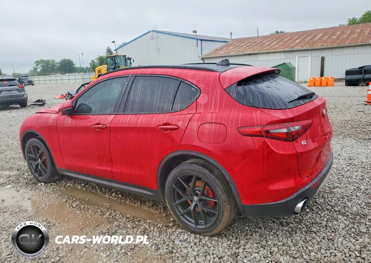 2019 Alfa Romeo Stelvio VIN:ZASPAKAN2K7C51685 - 2