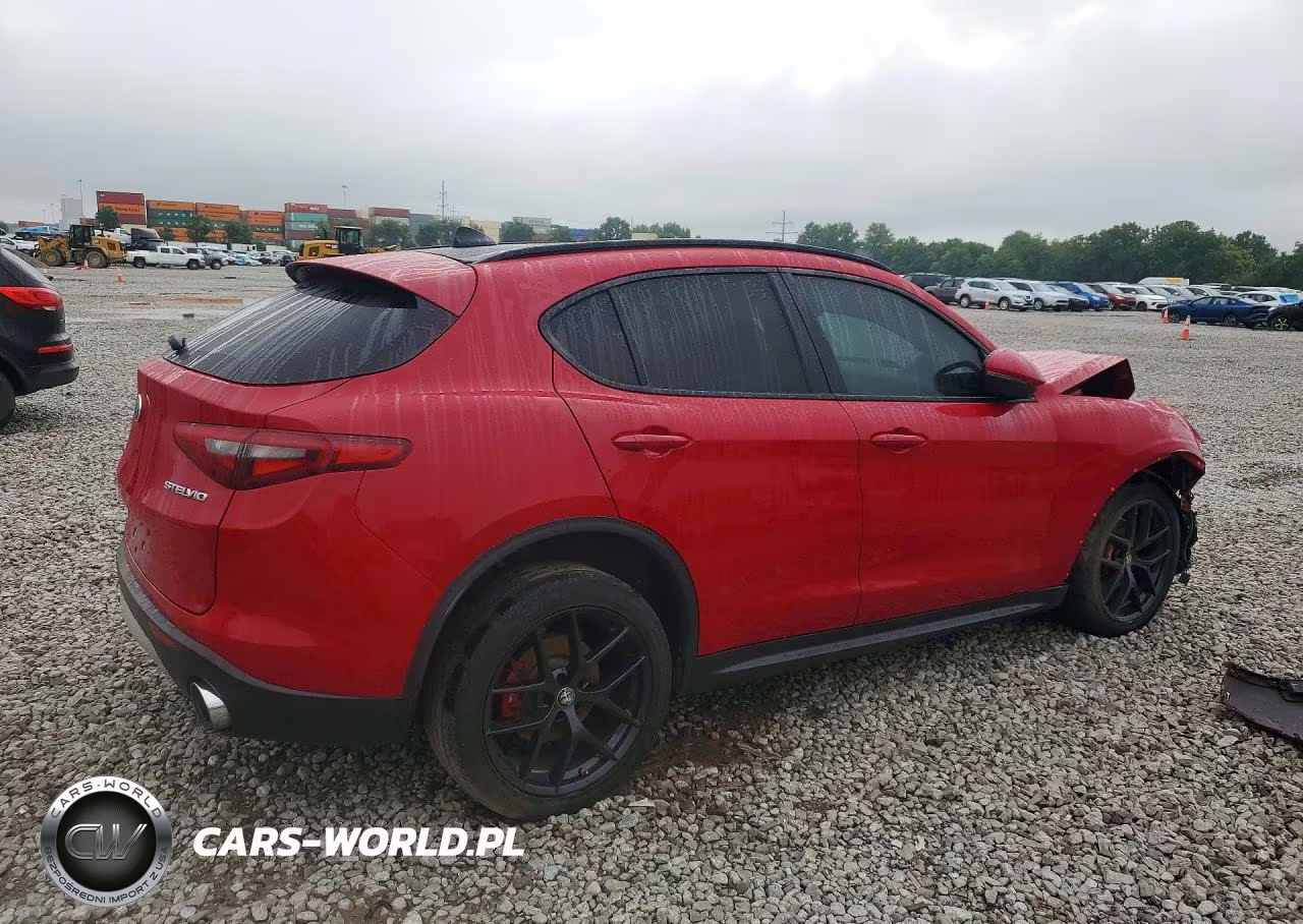2019 Alfa Romeo Stelvio VIN:ZASPAKAN2K7C51685 - 3