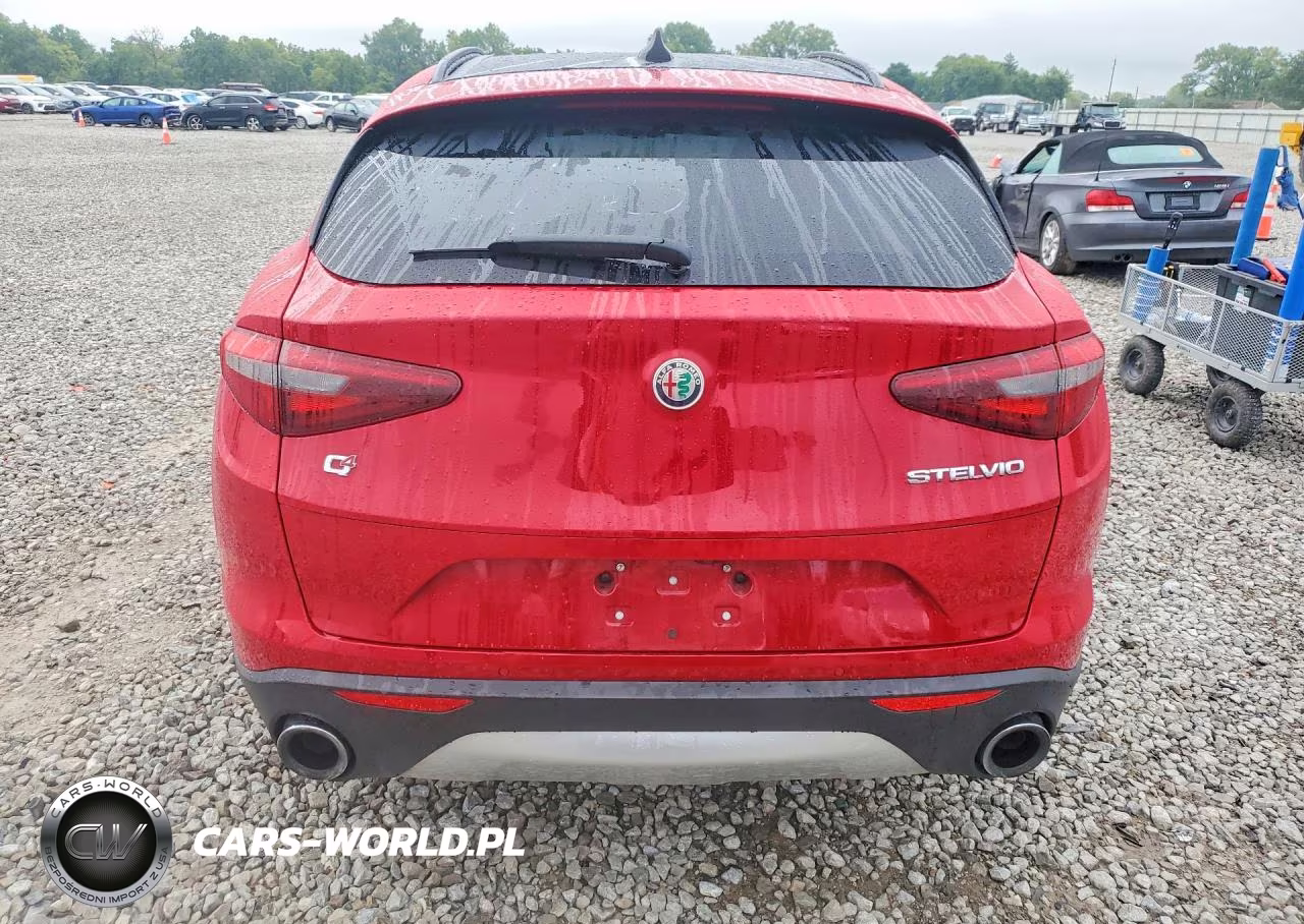 2019 Alfa Romeo Stelvio VIN:ZASPAKAN2K7C51685 - 6