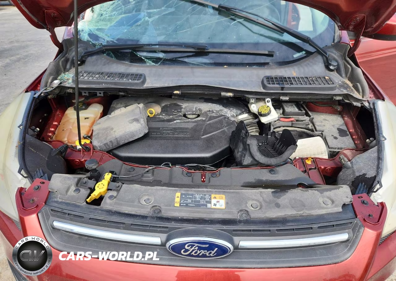 2014 Ford Escape Se VIN:1FMCU0G99EUB14838 - 11