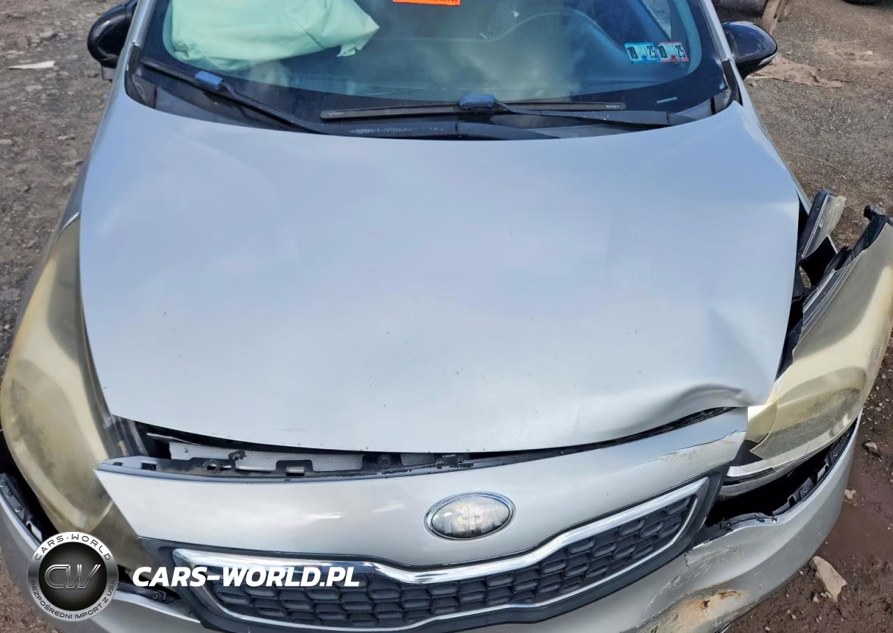 2014 Kia Rio Ex VIN:KNADN4A32E6355286 - 11