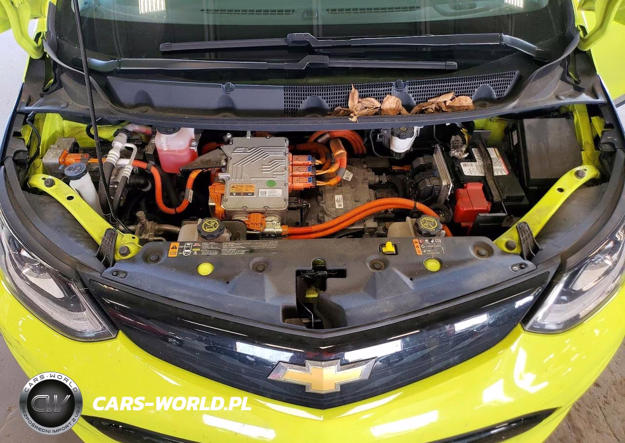 2019 Chevrolet Bolt Ev Premier VIN:1G1FZ6S06K4104819 - 11