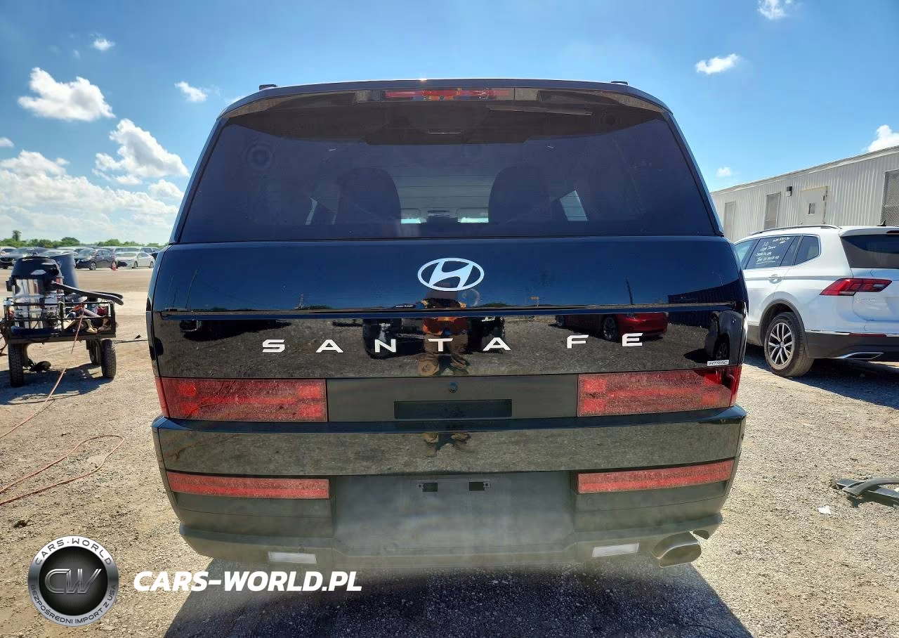 2025 Hyundai Santa Fe Sel VIN:5NMP2DGL6SH098017 - 6