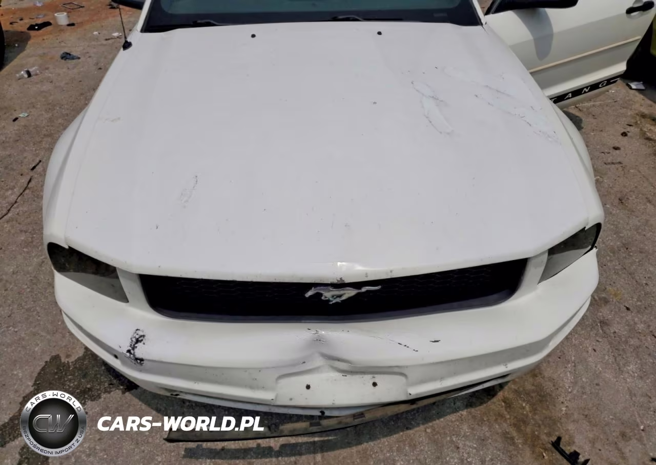 2005 Ford Mustang VIN:1ZVFT80N155173755 - 11