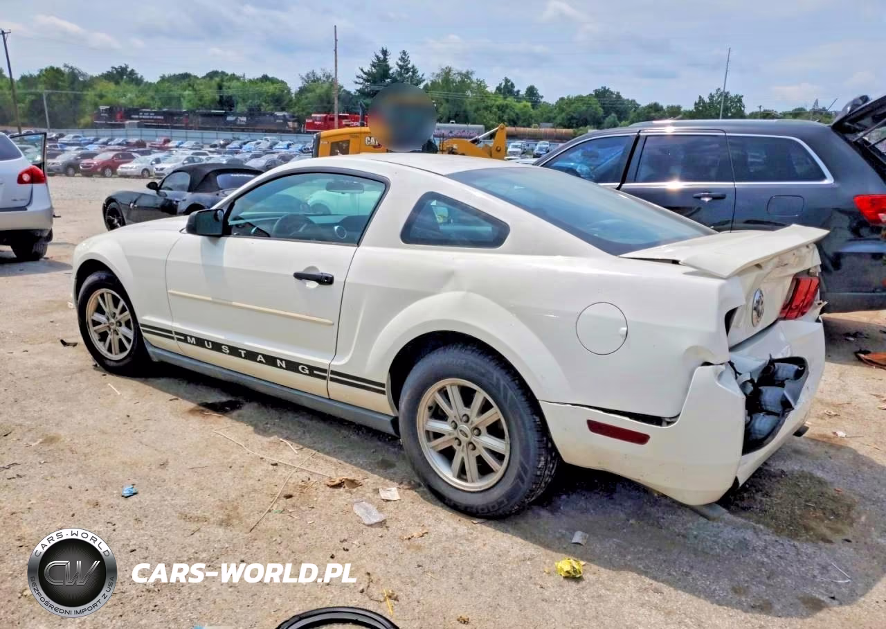 2005 Ford Mustang VIN:1ZVFT80N155173755 - 2