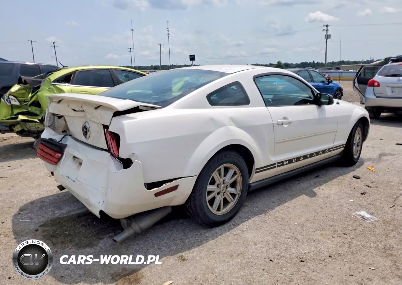 2005 Ford Mustang VIN:1ZVFT80N155173755 - 3