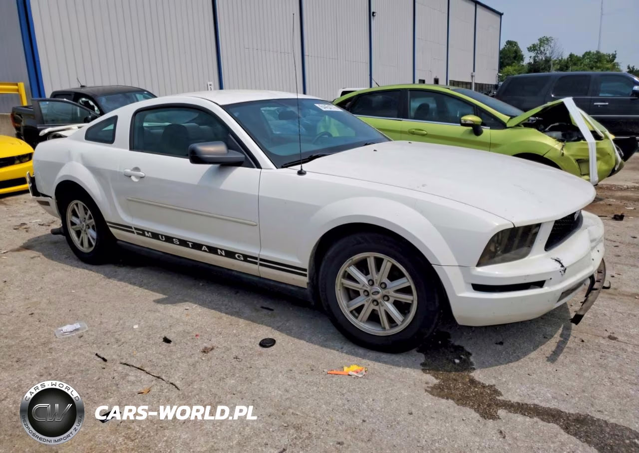 2005 Ford Mustang VIN:1ZVFT80N155173755 - 4