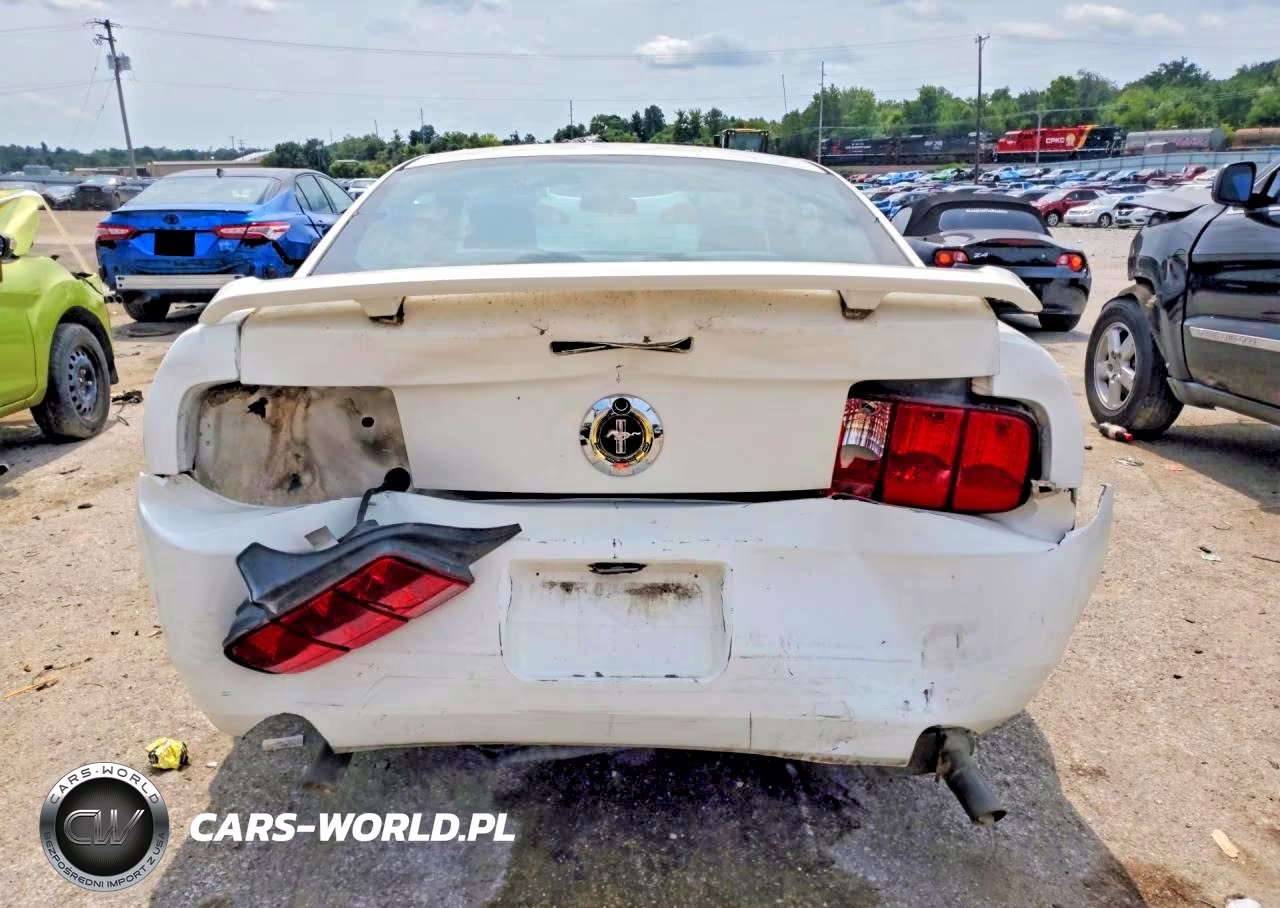 2005 Ford Mustang VIN:1ZVFT80N155173755 - 6