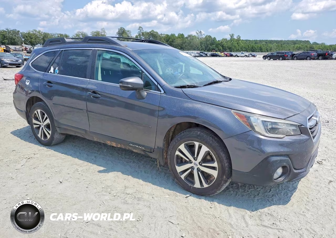2019 Subaru Outback 2.5I Limited VIN:4S4BSANC2K3204646 - 4