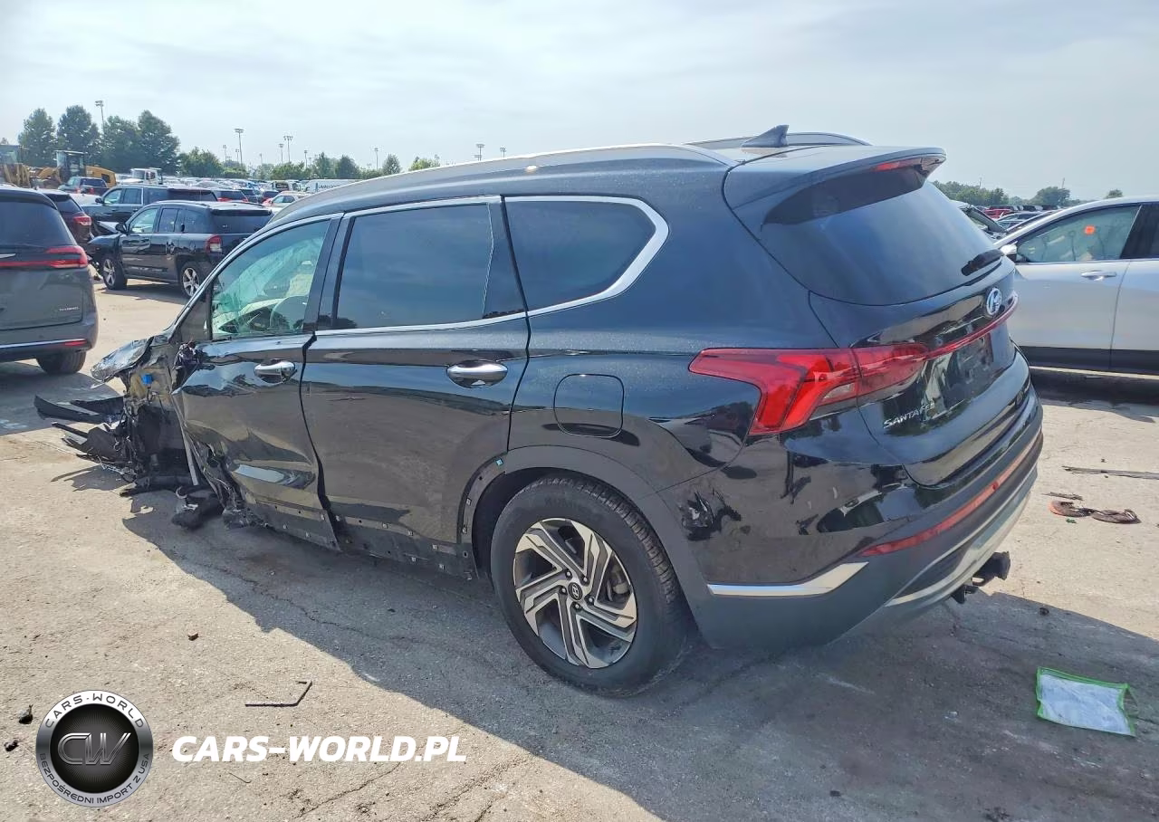 2022 Hyundai Santa Fe Sel VIN:5NMS3DAJ6NH470961 - 2