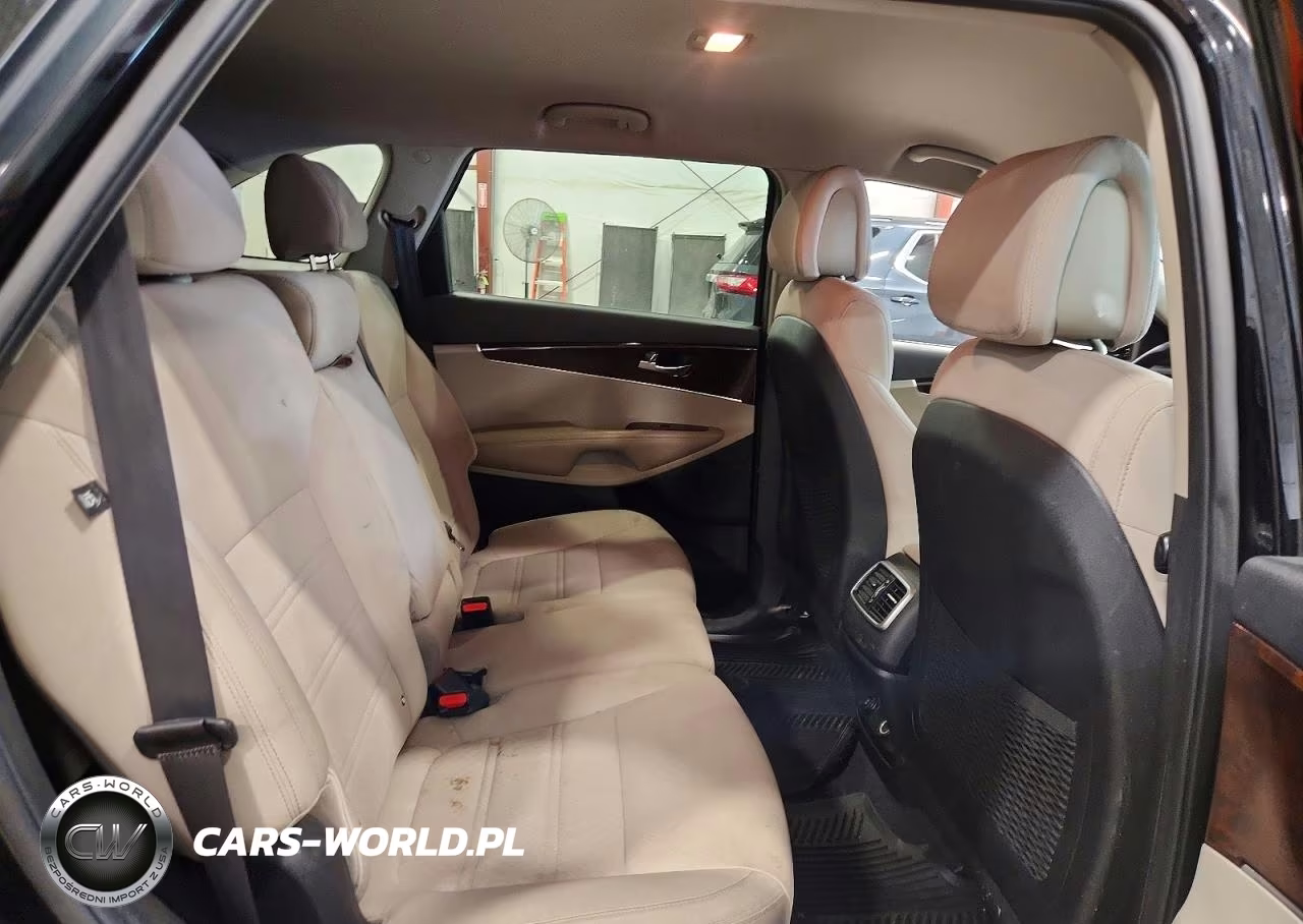 2016 Kia Sorento Lx VIN:5XYPGDA36GG029453 - 11