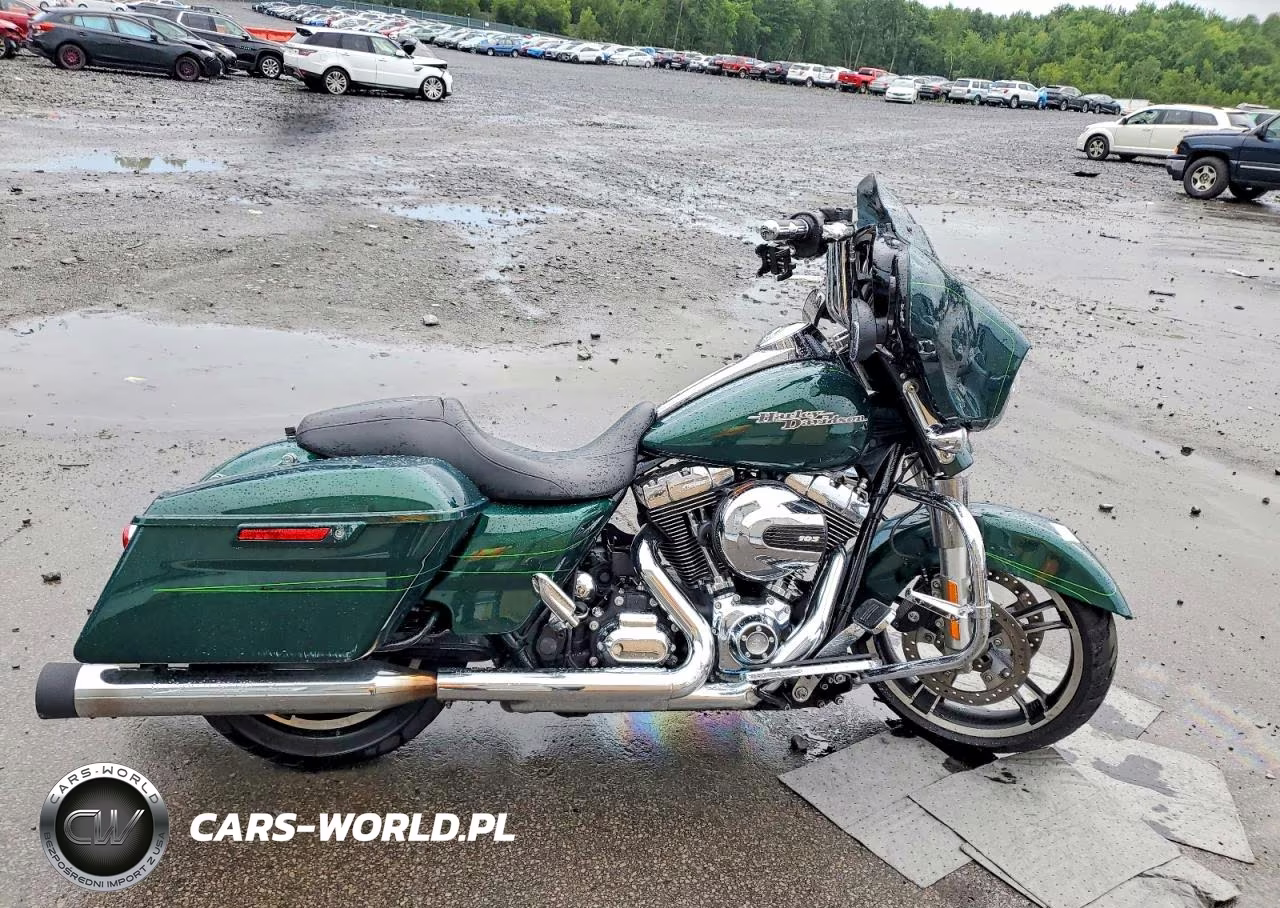 2015 Harley-Davidson Flhxs Street Glide Special