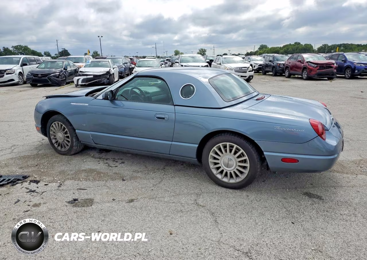 2005 Ford Thunderbird VIN:1FAHP60A25Y100769 - 2