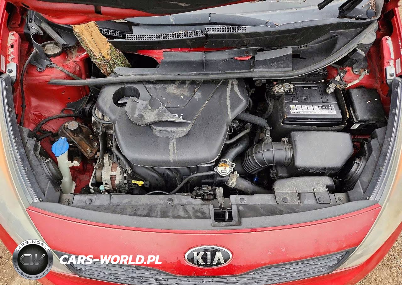 2015 Kia Rio Lx VIN:KNADM5A37F6457645 - 11