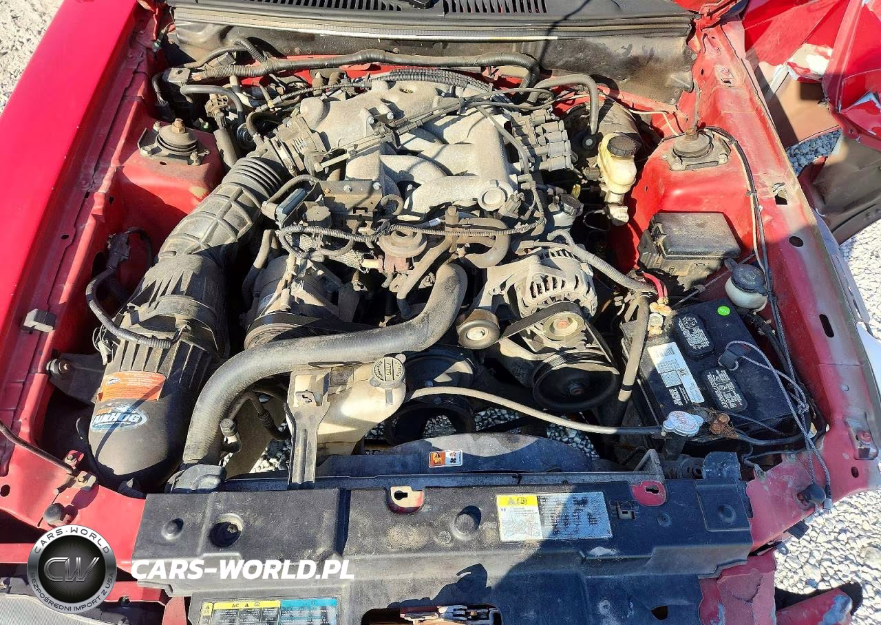 2004 Ford Mustang VIN:1FAFP446X4F221545 - 11