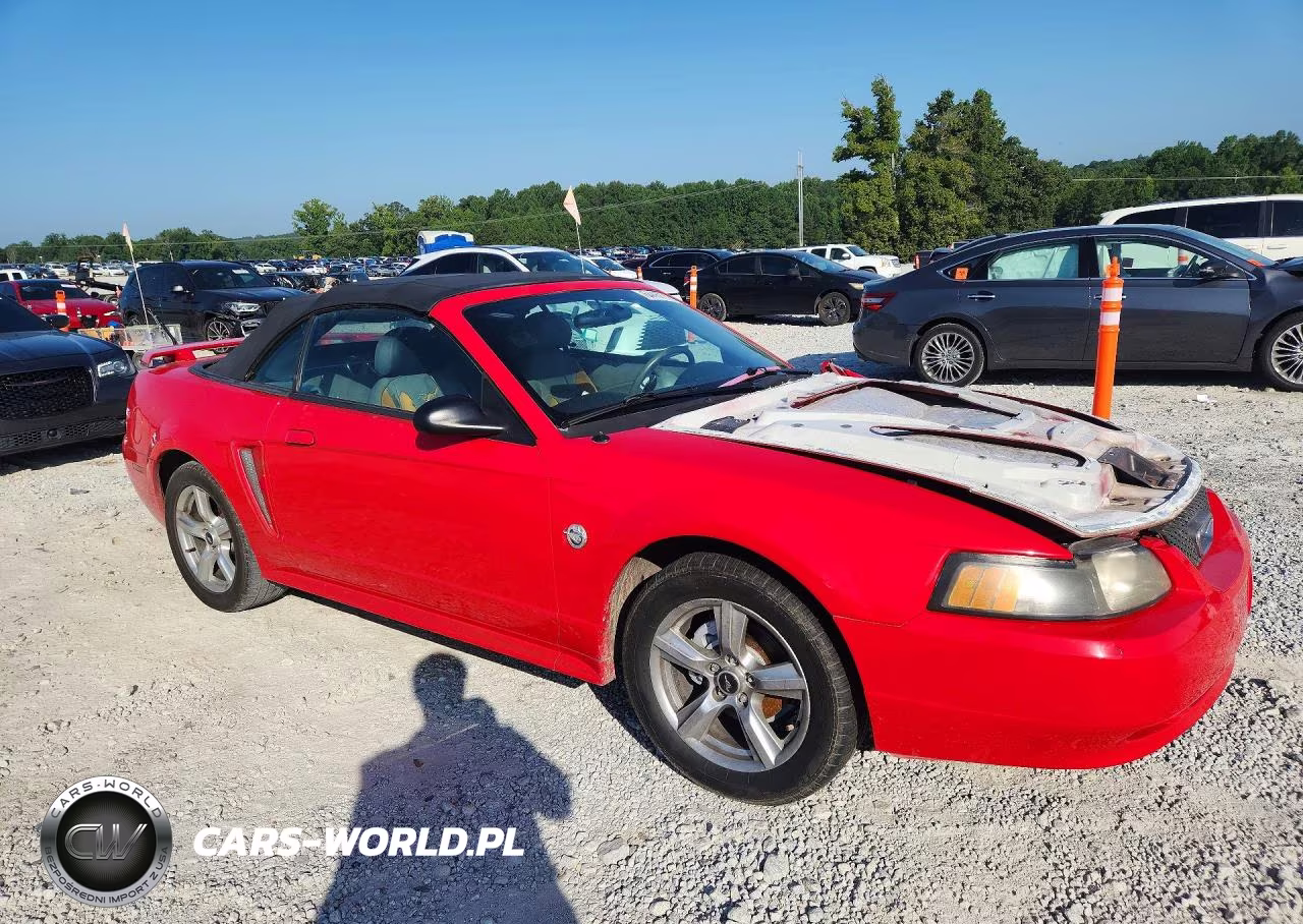 2004 Ford Mustang VIN:1FAFP446X4F221545 - 4
