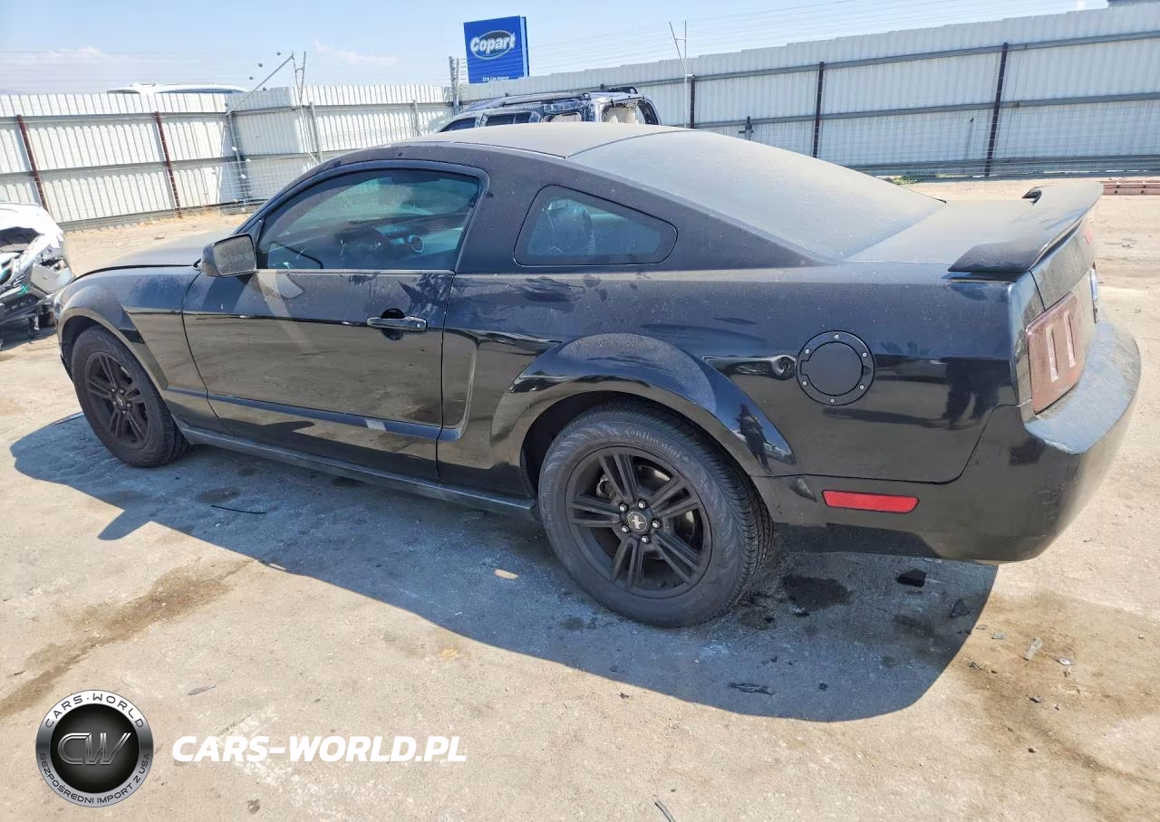 2005 Ford Mustang VIN:1ZVFT80N155149102 - 2