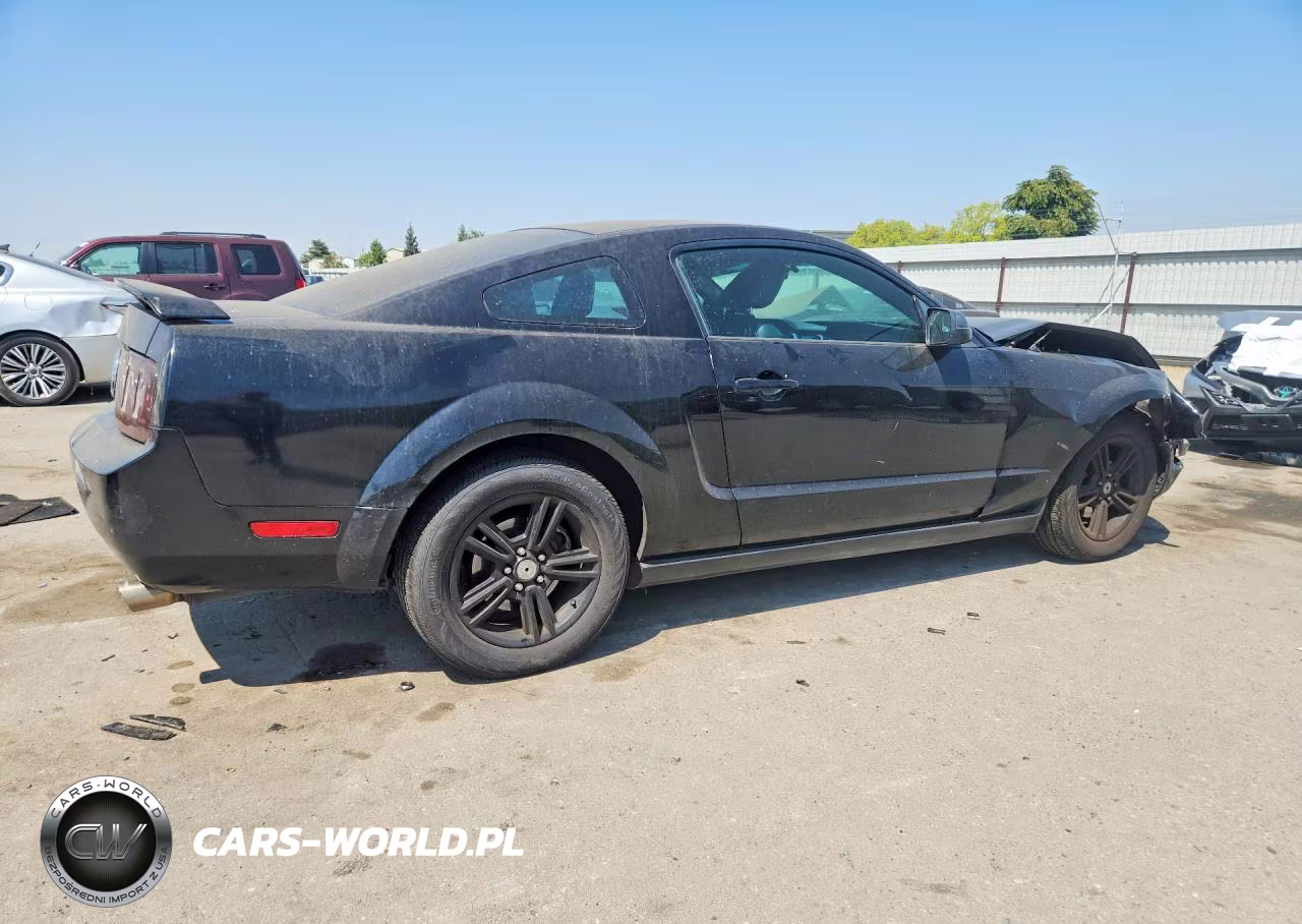 2005 Ford Mustang VIN:1ZVFT80N155149102 - 3