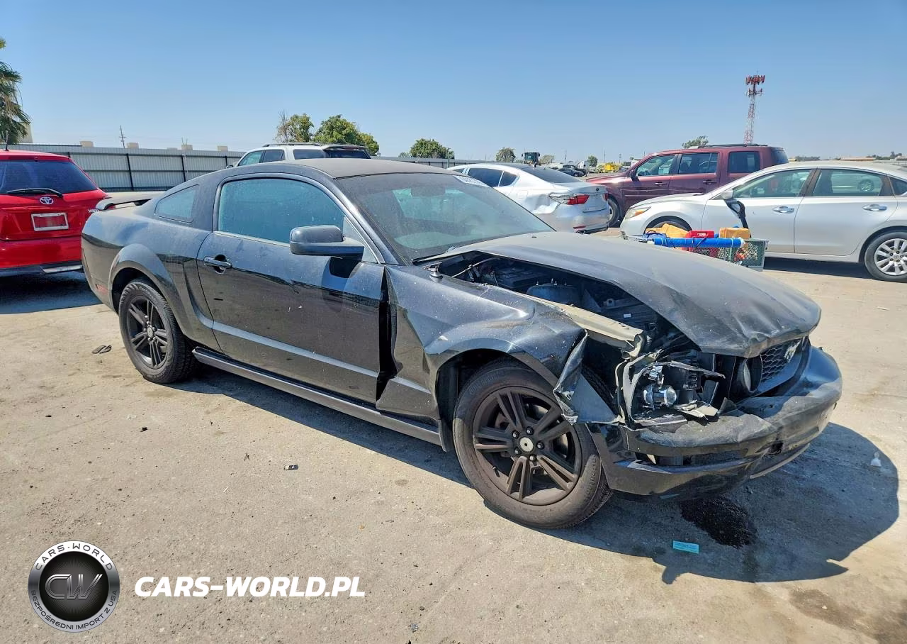2005 Ford Mustang VIN:1ZVFT80N155149102 - 4
