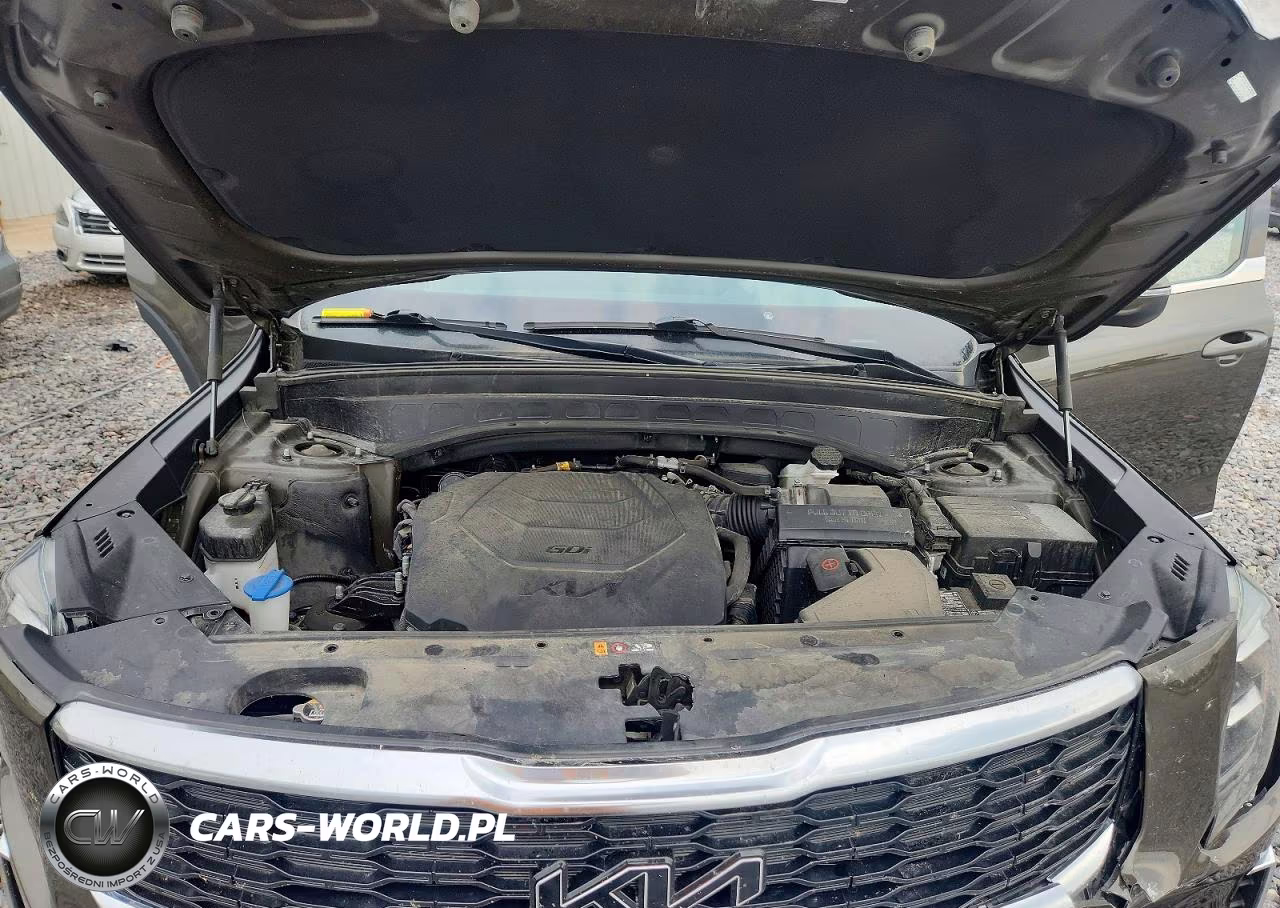 2022 Kia Telluride Ex VIN:5XYP34HC7NG313589 - 12