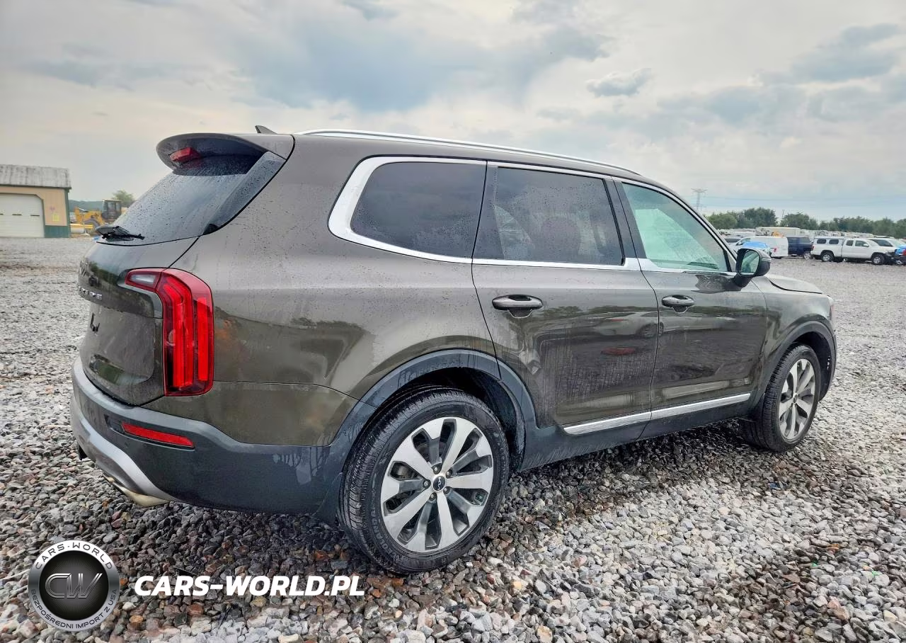 2022 Kia Telluride Ex VIN:5XYP34HC7NG313589 - 3