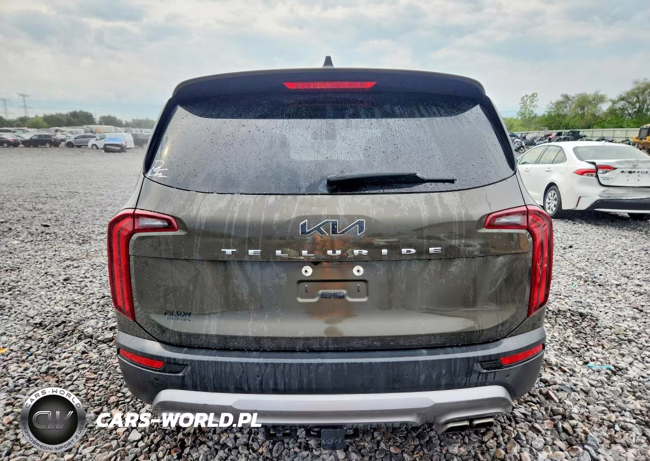 2022 Kia Telluride Ex VIN:5XYP34HC7NG313589 - 6