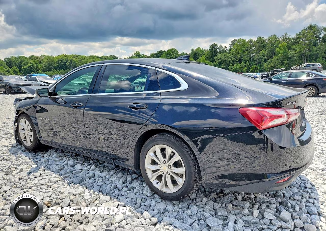 2019 Chevrolet Malibu Lt VIN:1G1ZD5ST6KF143219 - 2
