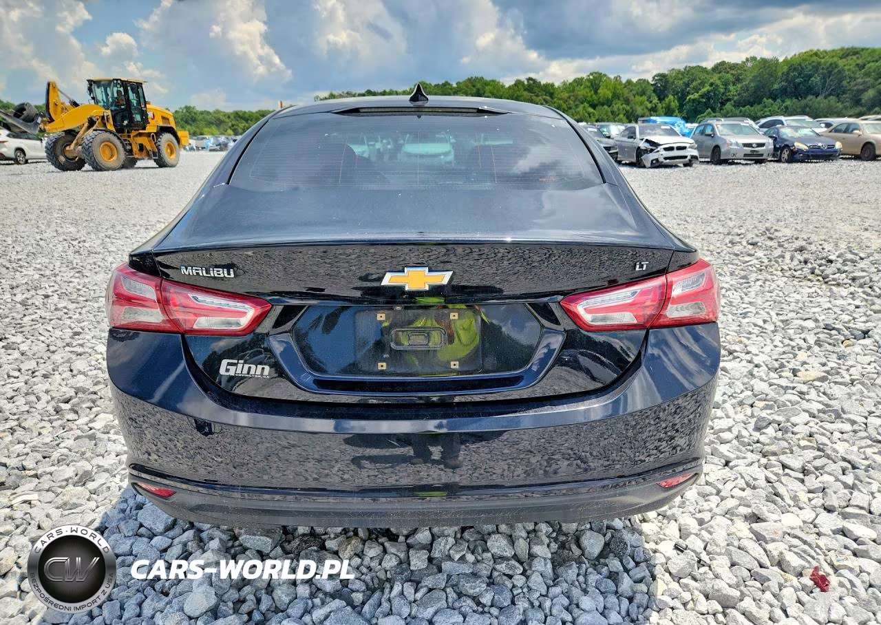 2019 Chevrolet Malibu Lt VIN:1G1ZD5ST6KF143219 - 6