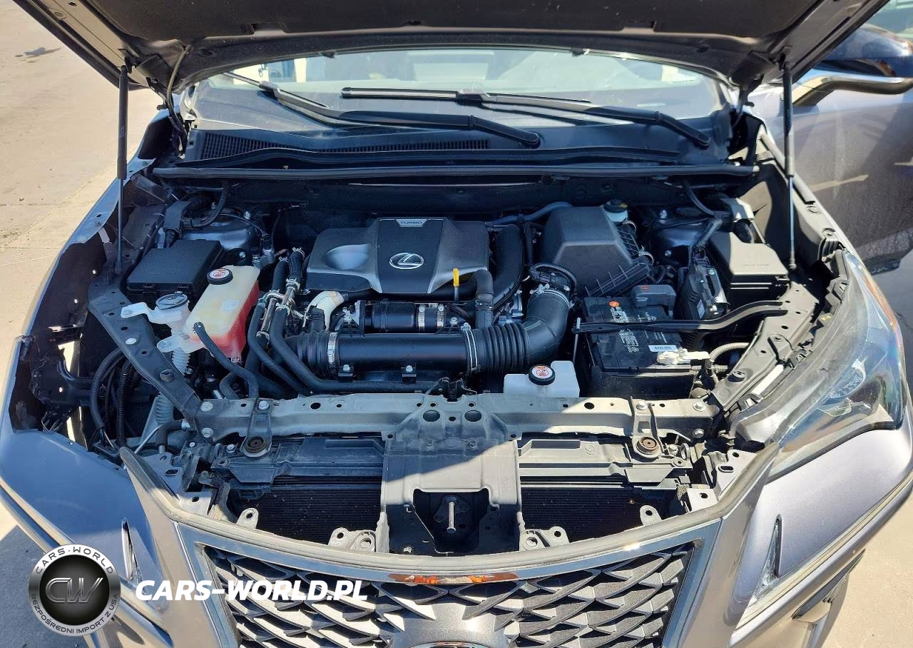 2021 Lexus Nx 300 F Sport VIN:JTJSARBZ6M2203178 - 12