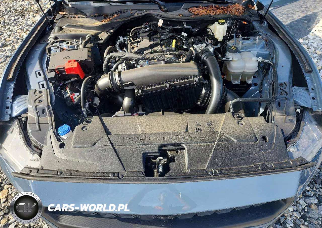 2026 Ford Mustang VIN:1FA6P8TH8T5104030 - 11