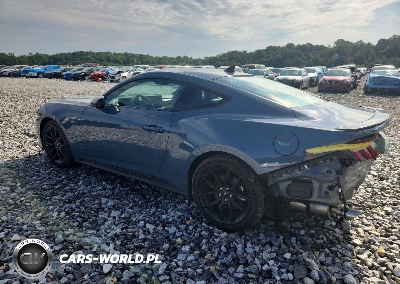 2026 Ford Mustang VIN:1FA6P8TH8T5104030 - 2