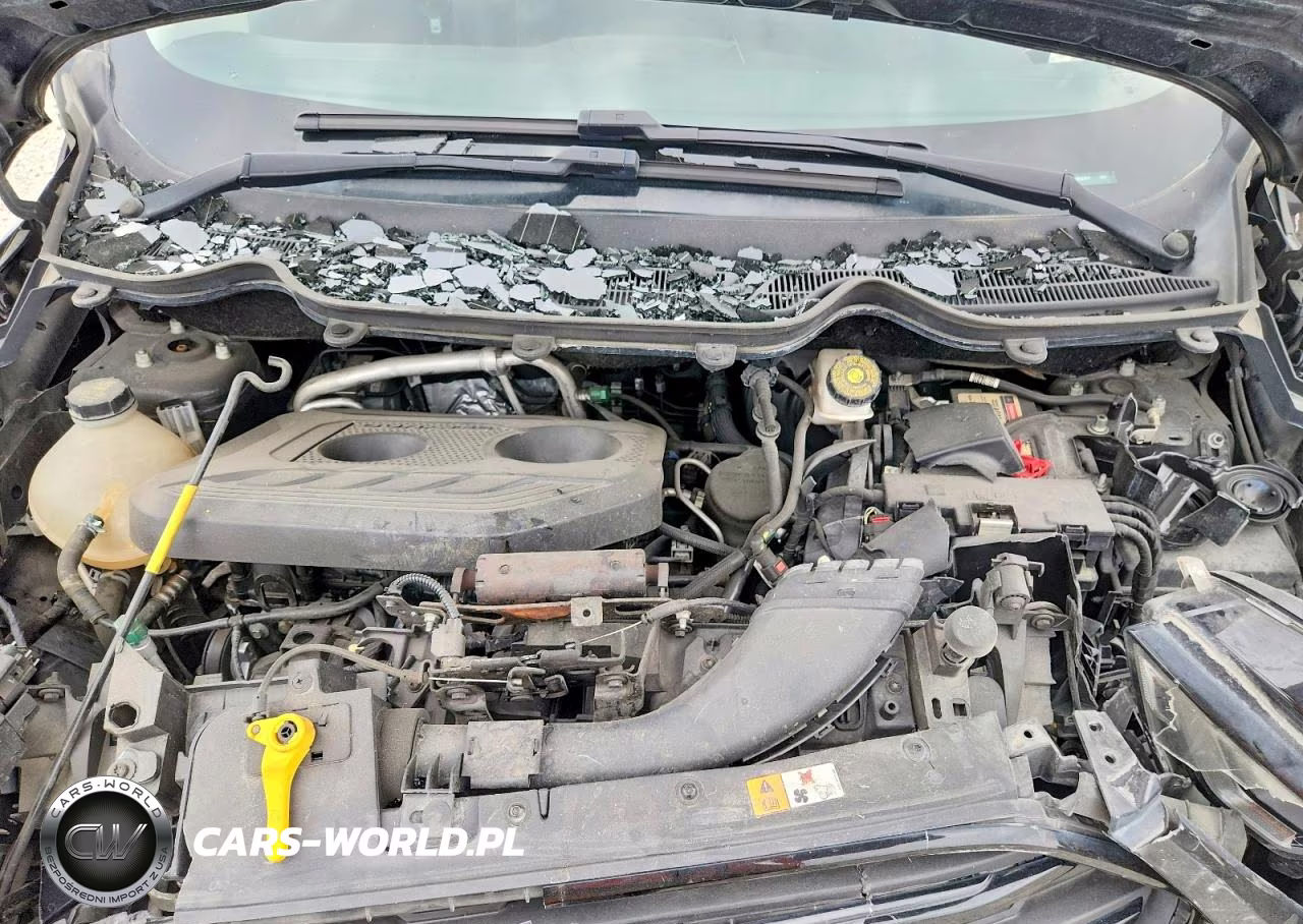 2020 Ford Ecosport Ses VIN:MAJ6S3JL3LC360564 - 11